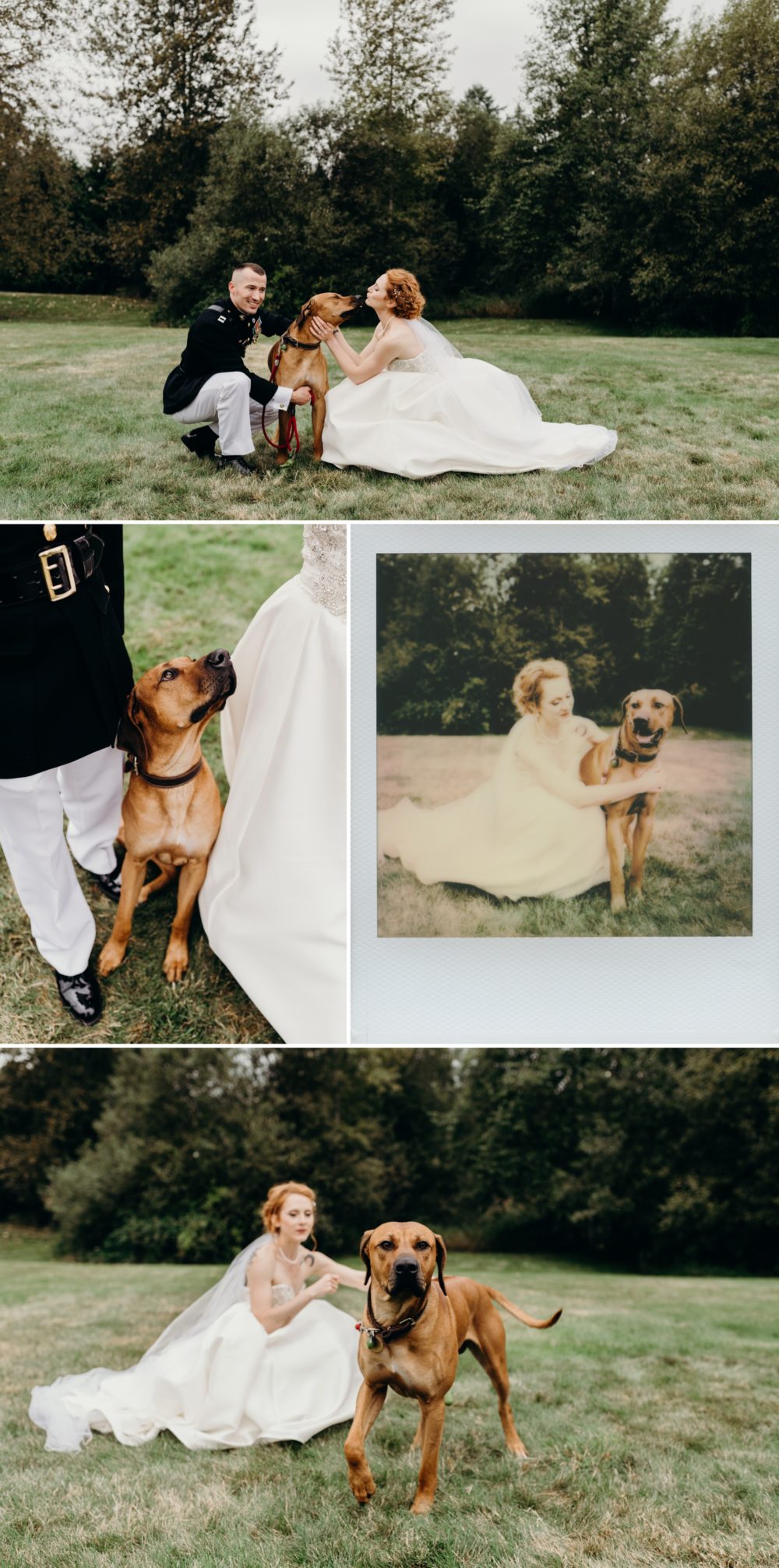 Dogs in weddings are the best! Bostic Lake Ranch Wedding in Redmond, WA by Briana Morrison