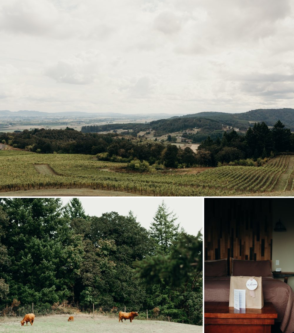 The views of Youngberg Hill - by Youngberg Hill Wedding Photographer, Briana Morrison