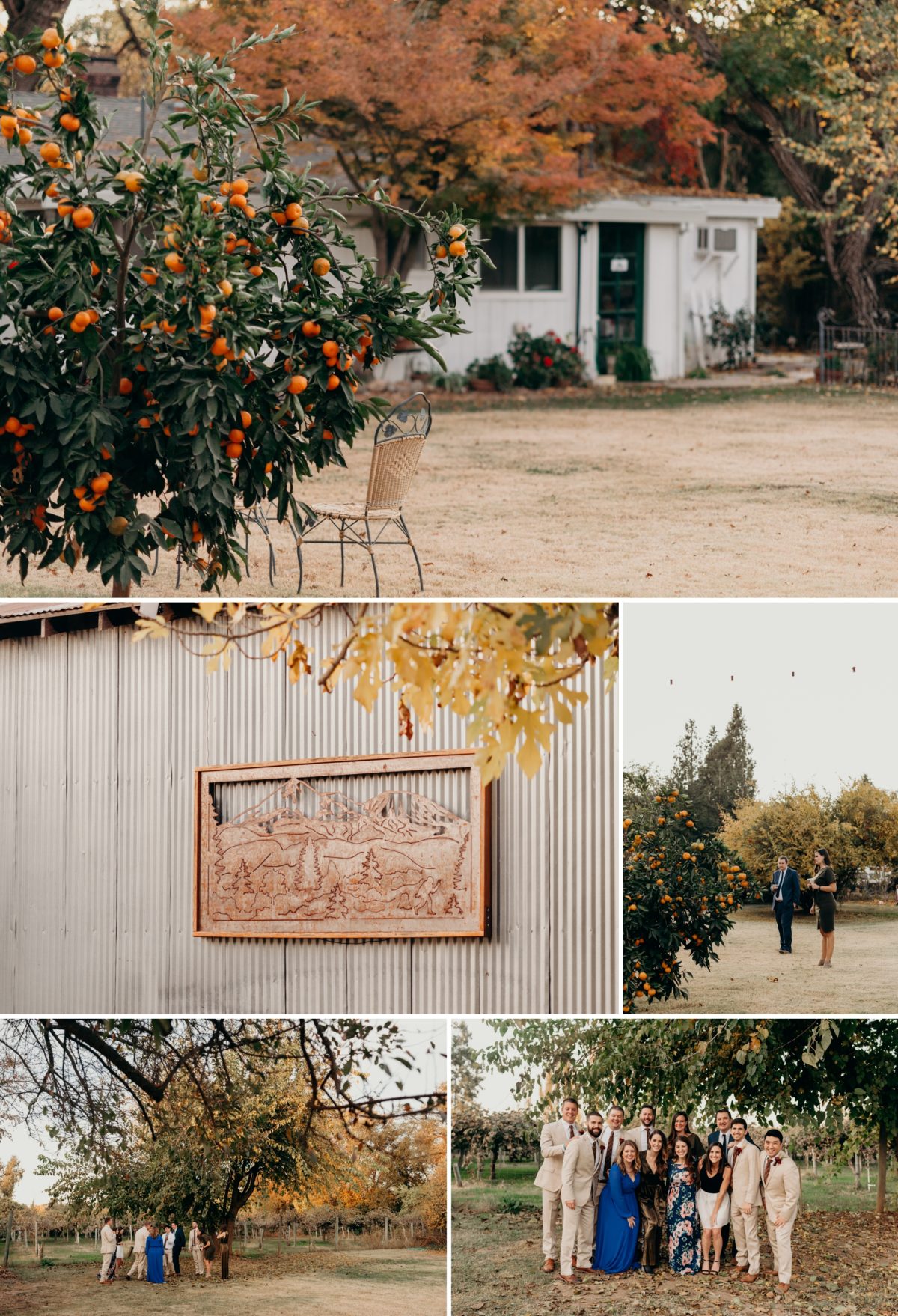 A backyard wedding in Gridley, CA photographed by Briana Morrison