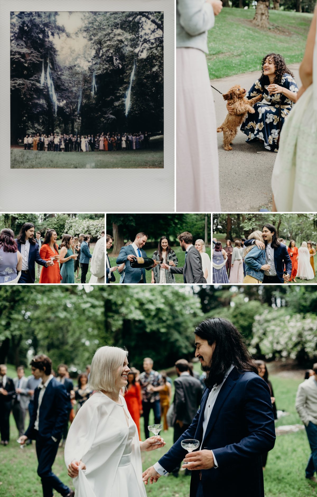 Champagne and friends in Laurelhurst Park. Photos by Portland Wedding photographer Briana Morrison