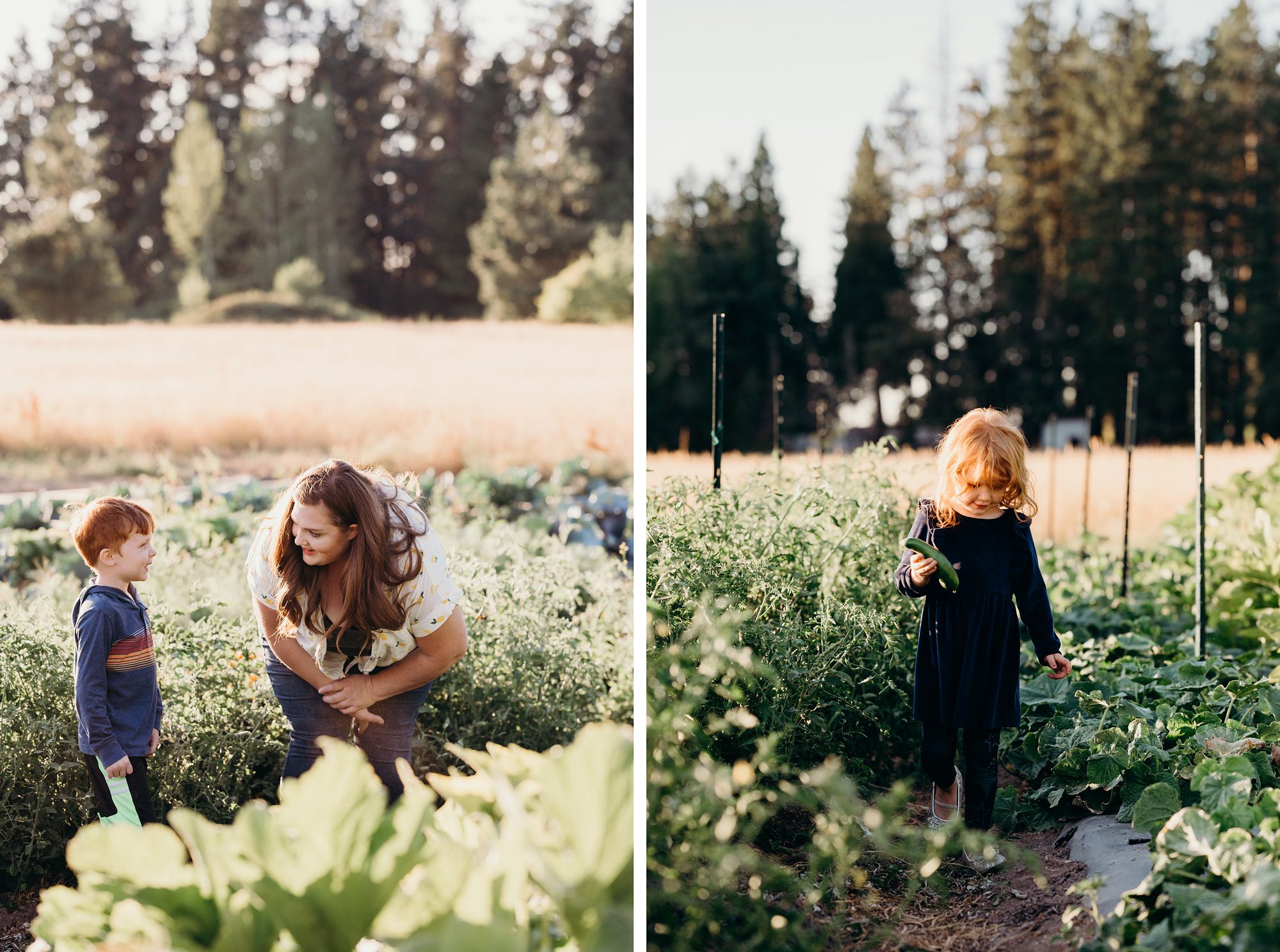 Oregon Farm Family Portraits