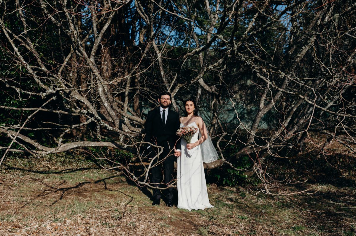 A bride and groom stand within a leafless tree with the sun shining on their faces.
