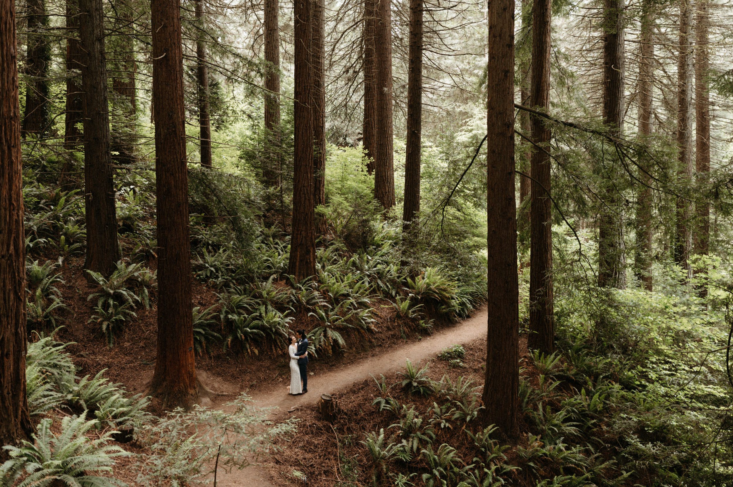 A bride and groom hung under the Hoyt Arboretum redwood trees on their wedding day.