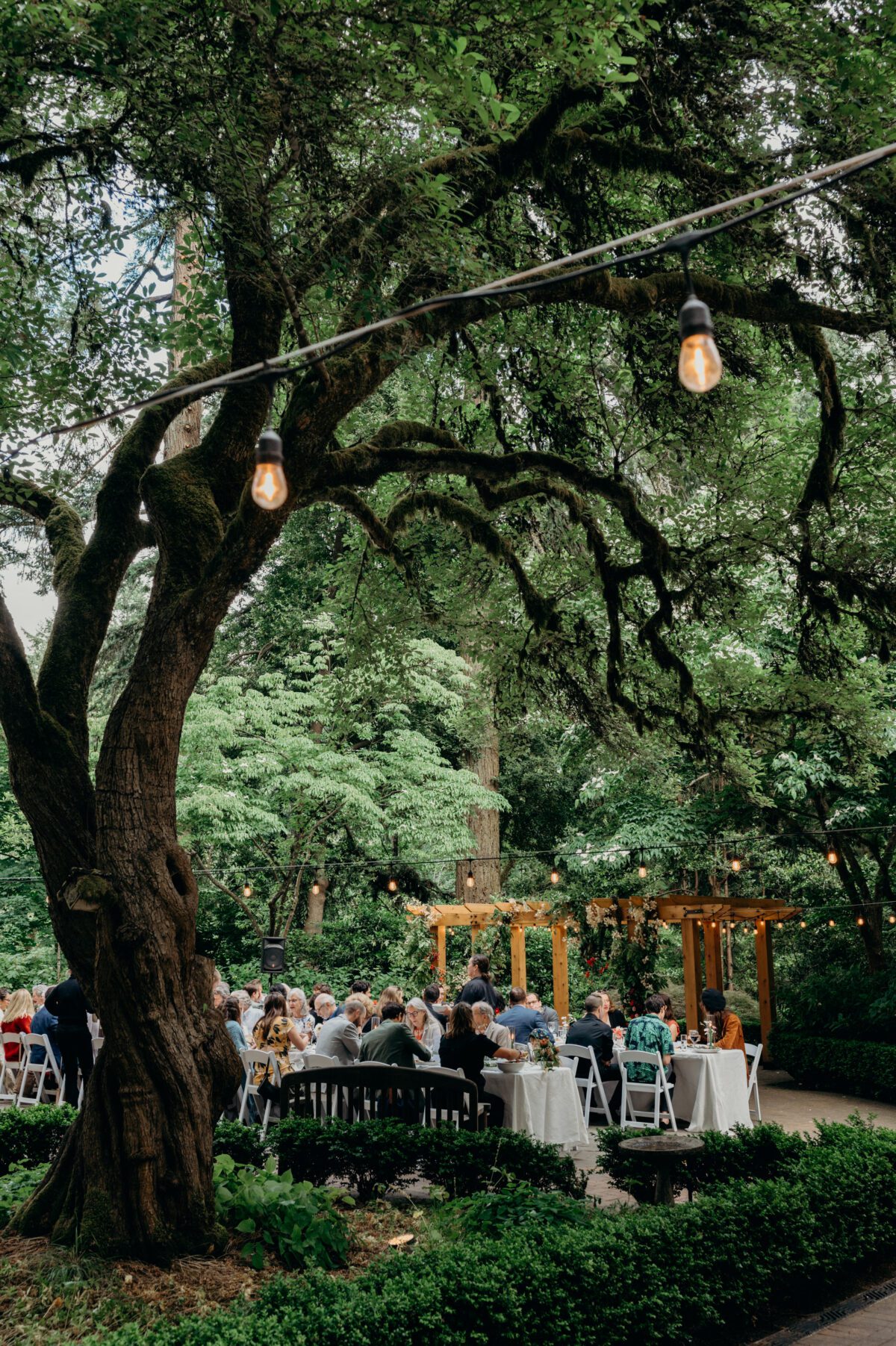 Wedding reception under the trees at Leach Botanical Gardens.