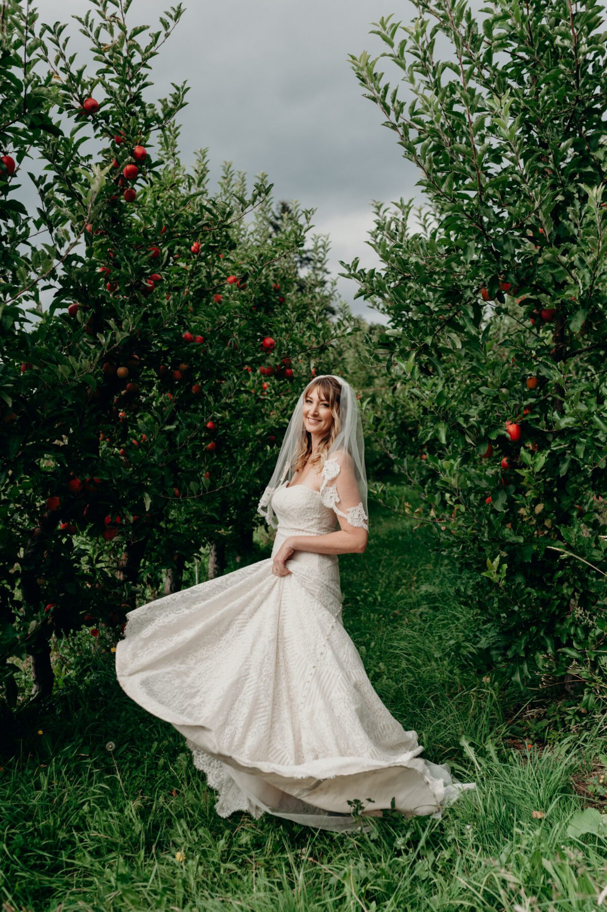 A bride shows off her gown while standing in an apple orchard full of ripe red apples.