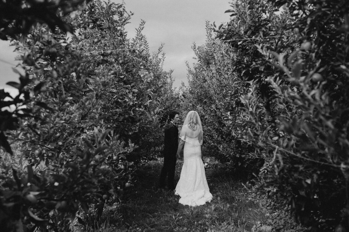 Black and white candid portrait of a bride and groom walking through the apple orchard at mt hood organic farms