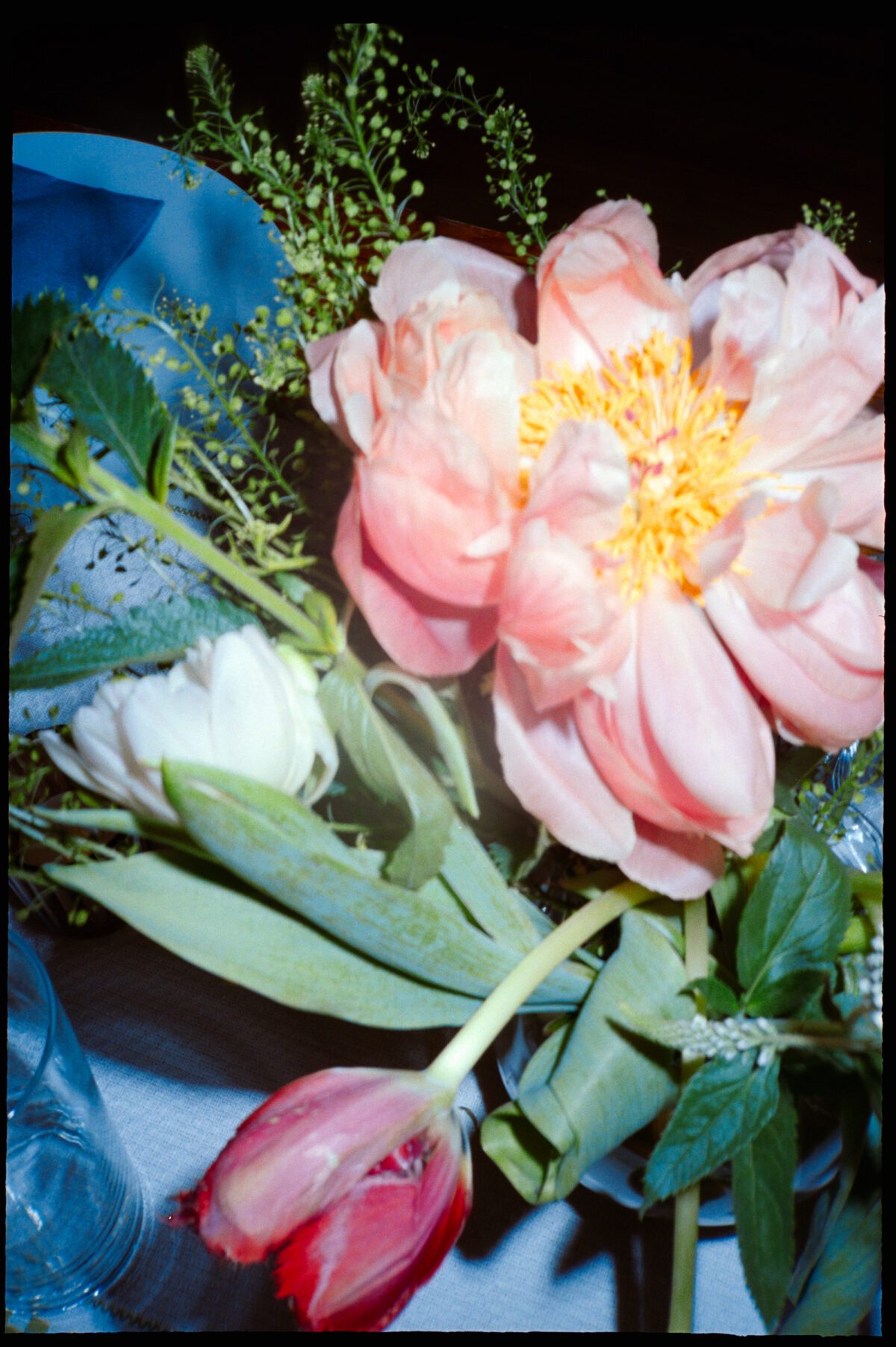 Close up blurry detail photograph of wedding flowers - a pink peony and tulip. Film photograph by summer camp wedding photographer Briana Morrison